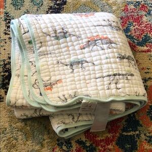 Aden & Anais dream blanket